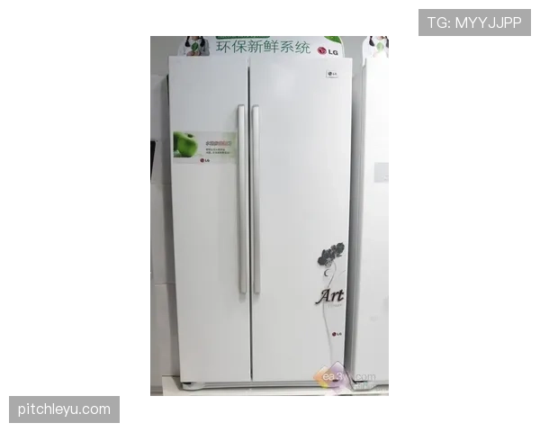 任子威出场那会儿，感觉他家冰箱比我工资还厚实啊