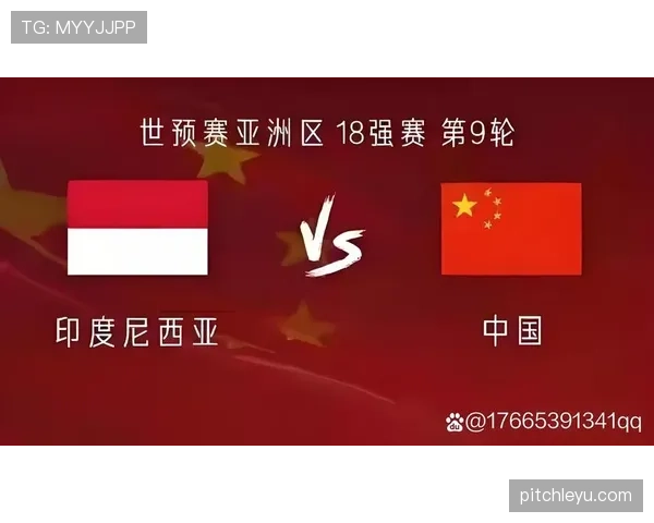 世界杯F组赛后舆论焦点盘点
